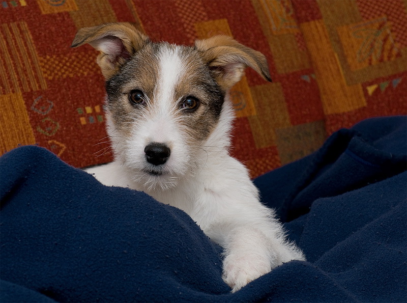 felix D35_3625 als Smart-Objekt-1 Kopie.jpg